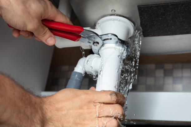 Best Water damage cleanup near me  in Pingree Grove, IL