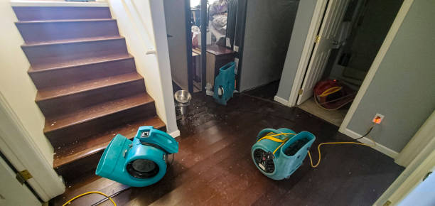 Best Ceiling water damage repair  in Pingree Grove, IL