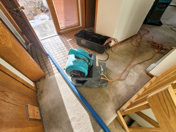 Best Sewage cleanup and water damage restoration  in Pingree Grove, IL