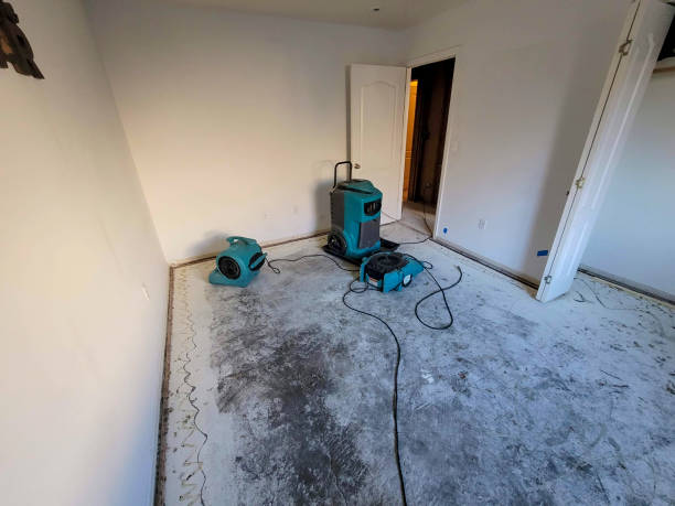 Best Water damage contractors near me  in Pingree Grove, IL