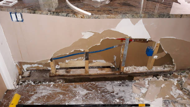 Best Mold removal after water damage  in Pingree Grove, IL