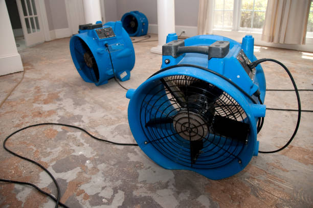 Best Water damage restoration near me  in Pingree Grove, IL