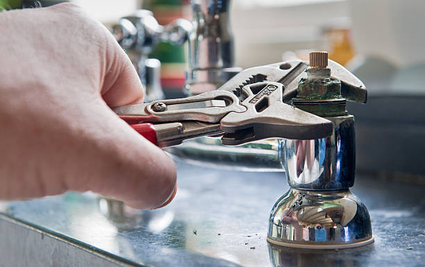 Best 24/7 water damage repair  in Pingree Grove, IL
