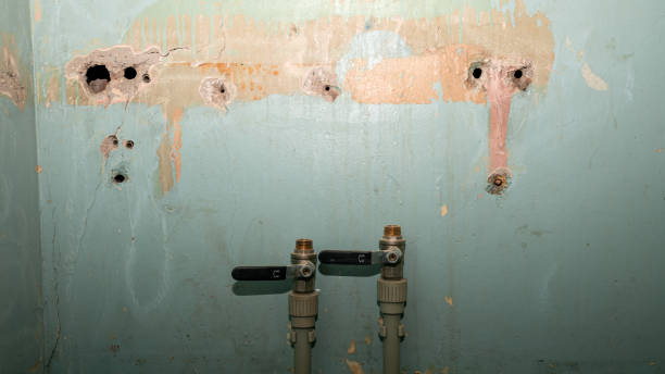 Water damage restoration experts in Pingree Grove, IL