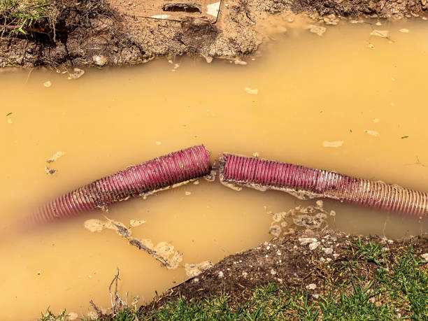  Pingree Grove, IL Water damage restoration Pros