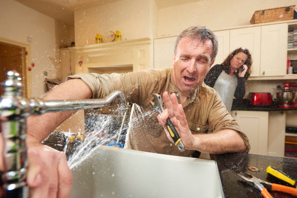Best Emergency water extraction  in Pingree Grove, IL